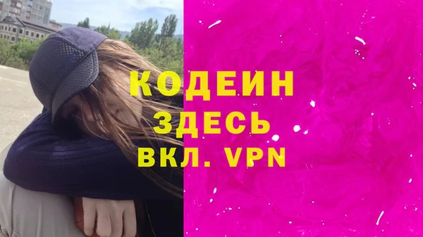 гашик Вяземский