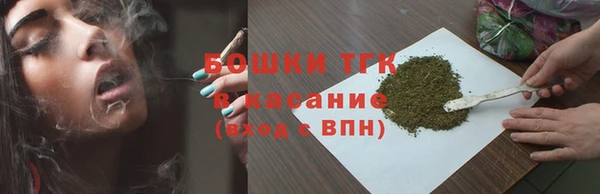 винт Пересвет
