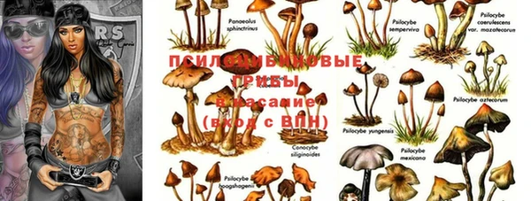 спайс Вязьма