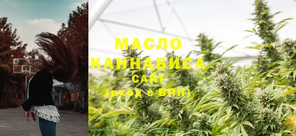 гидра Вязники