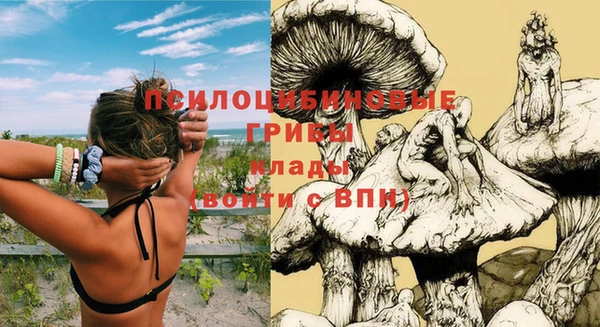 винт Пересвет