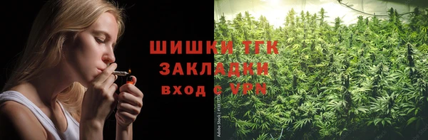 гашик Вяземский