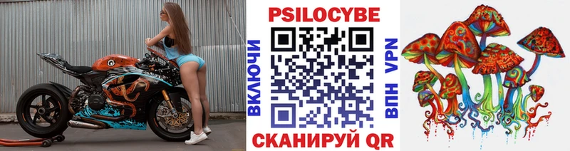 Псилоцибиновые грибы Magic Shrooms  кракен ТОР  Кудрово 